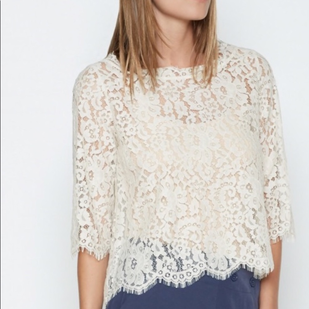 Joie Elvia lace top in New Moon